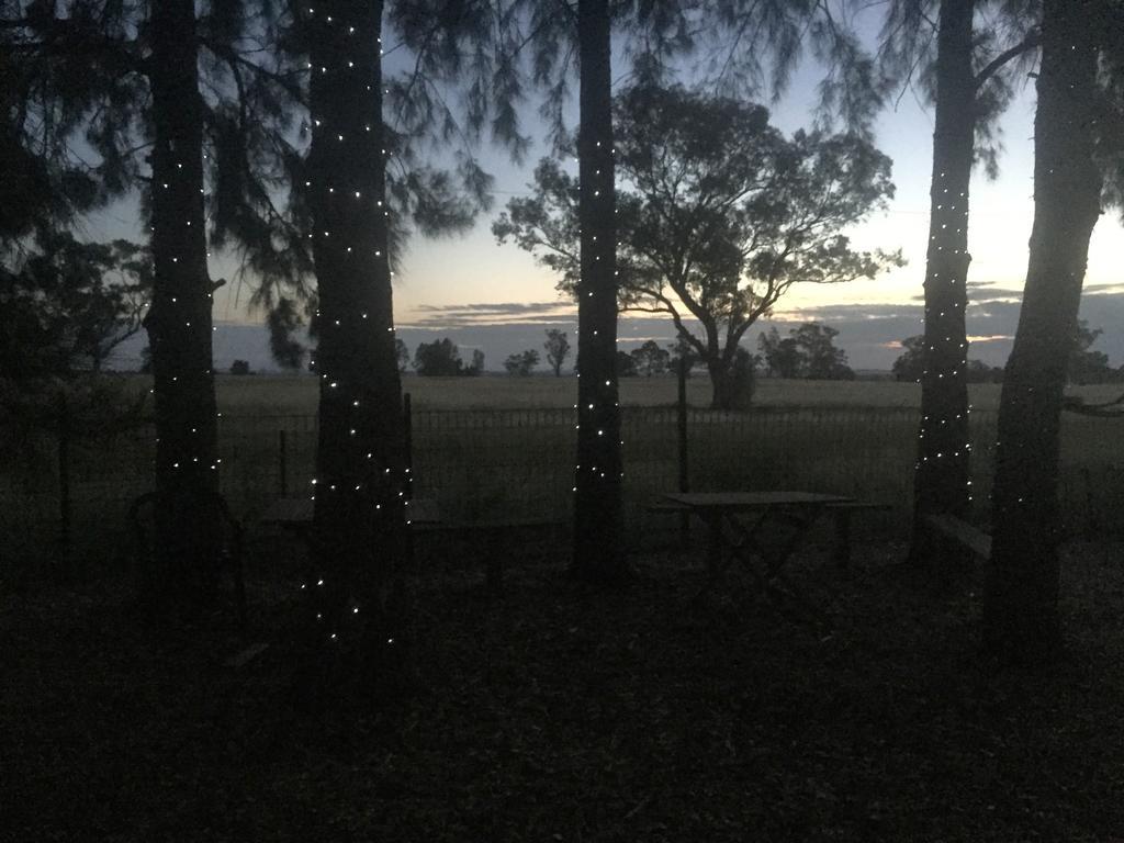 Aussie Cabins Hotel Dubbo Exterior photo